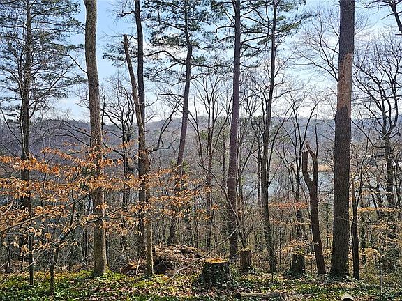 3rd image of 128 River Ridge Ln