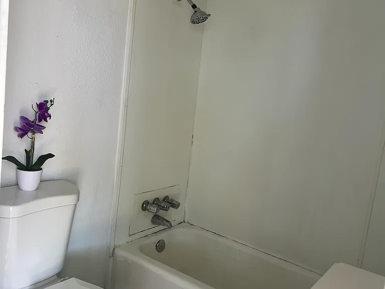 404 Thrasher Ave #A — Photo 6