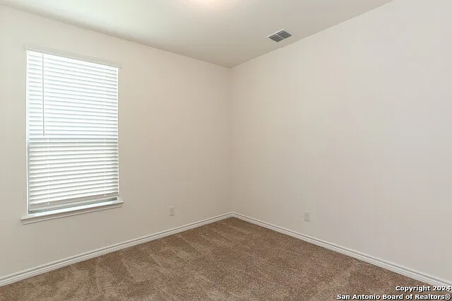 14906 Coral Snake Way — Photo 14