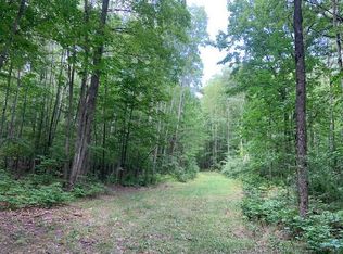 W Scott Rd, Ossineke, MI 49766