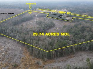29.74 Acres Hwy #87, Samson, AL 36477