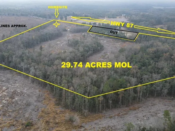 29.74 Acres Hwy #87, Samson, AL 36477