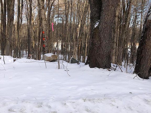 5th image of 5 Watson Rd