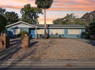 219 N Rossiter St, Mount Dora, FL 32757
