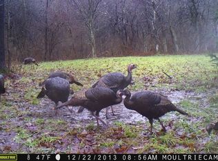 Shannon Tipple Rd, Sligo, PA 16255