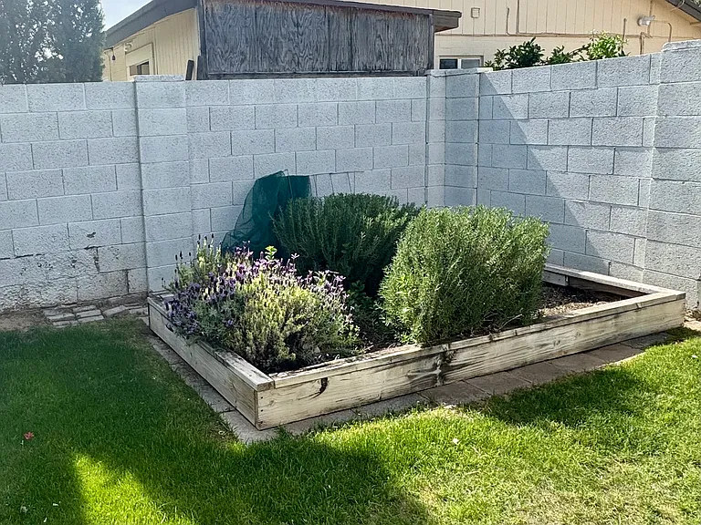10699 E Mescal St — Photo 37