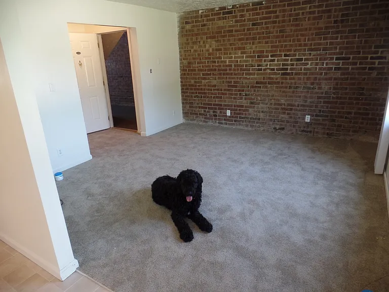 Williamsburg Apartment Homes LLC — Photo 19