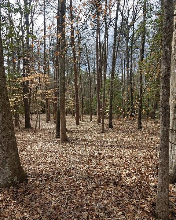 2nd image of 2129 Pony Farm Rd