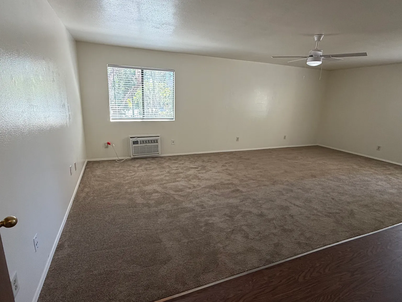 College Ave Apts. — Photo 4