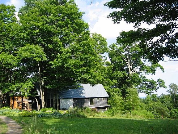 yard next to cabin
