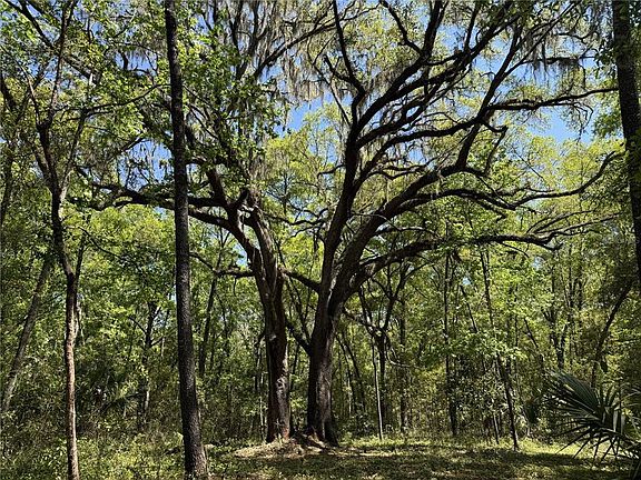 4th image of WOH #1 (15ac) NW 193RD ST
