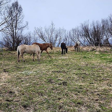 4th image of 66830 Sterling Hwy