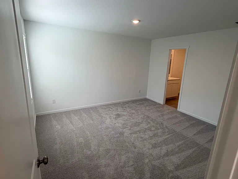 2961 Serenity Grove Ln — Photo 10