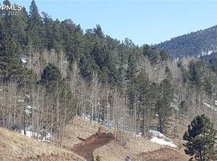 60 Beaver Pond Rd, Divide, CO 80814