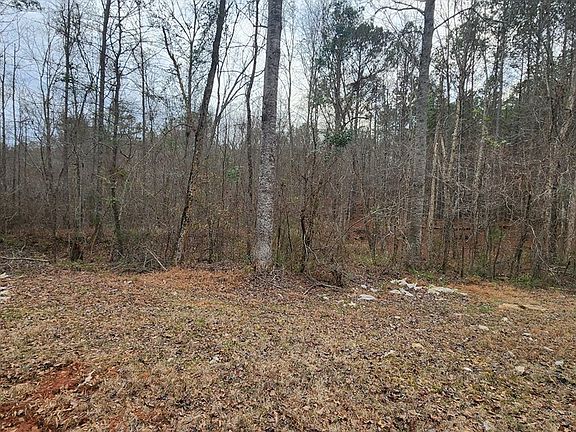 2nd image of 0 Monument Rd