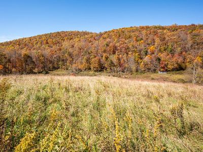 971 Phadettia Rd SW, Willis, VA, 24380