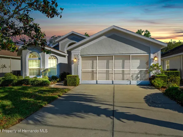 11071 Heathrow Ave, Spring Hill, FL 34609