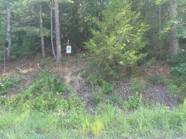 TRACT 5 Carroll Hollow Rd, Waynesboro, TN 38485