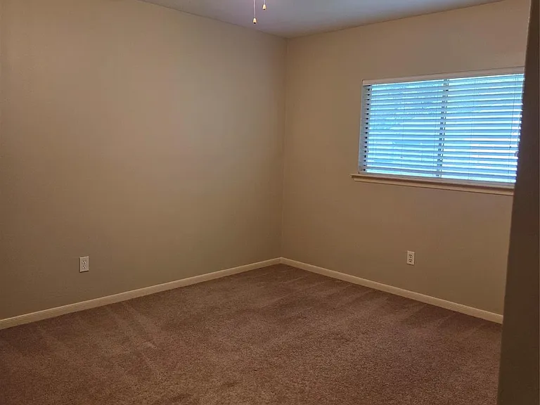 231 Needleleaf Ln — Photo 18