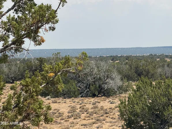 N7200 Parcel # 205-32-004A -- #004A, St Johns, AZ 85936