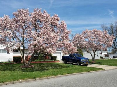 167 Wurz St, Brentwood, NY, 11717