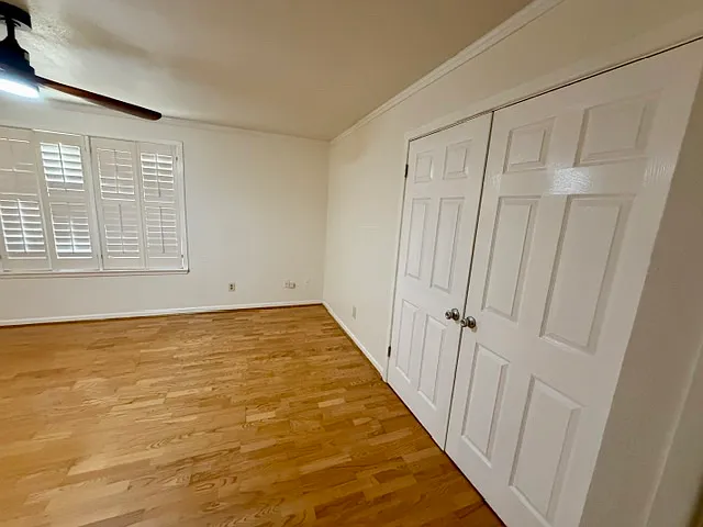 617 Williamson Pl — Photo 9