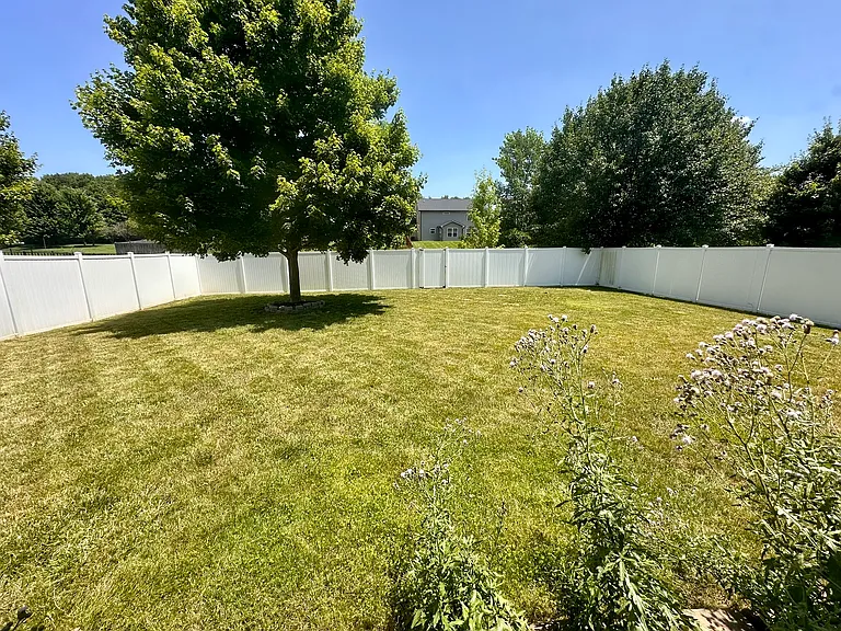 View of Backyard from Patio Room