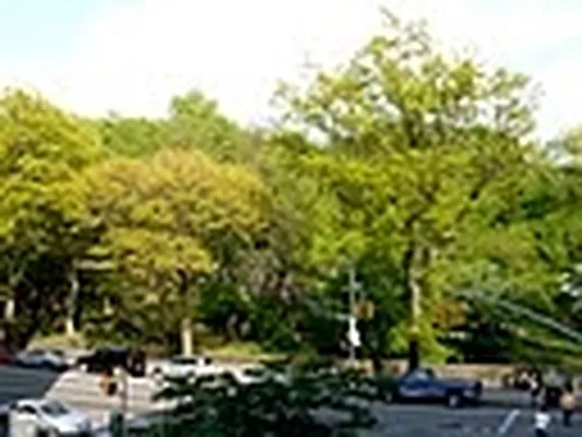 Rented by Nest Seekers International | media 16