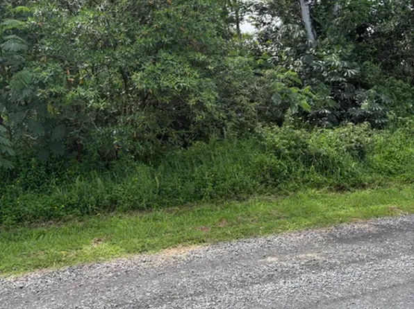 18th Ave Lot 351, Keaau, HI 96749