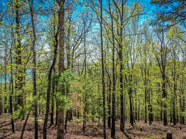 121 Eagle Ridge Rd, Fairfield Bay, AR 72088