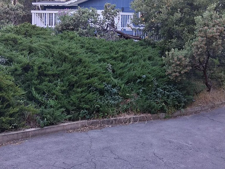 210 Wylerhorn Dr — Photo 2