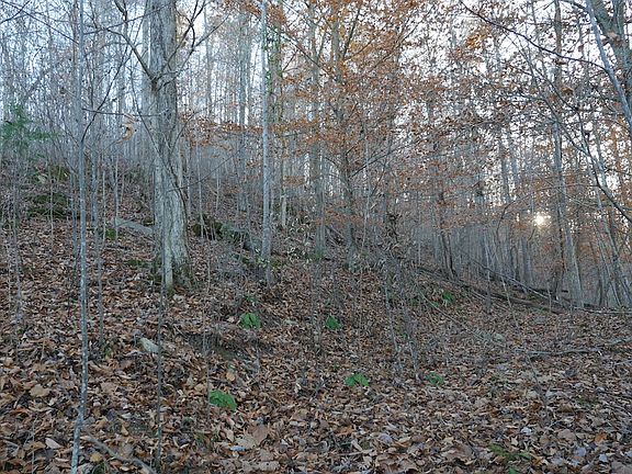 3rd image of Bristol Hwy Lot Wp001