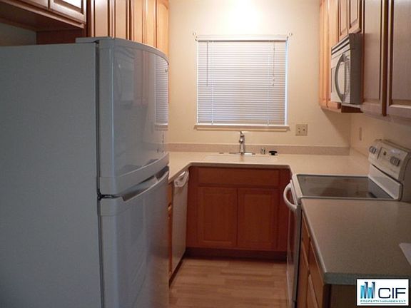 4th image of 1730 Dolphin Dr