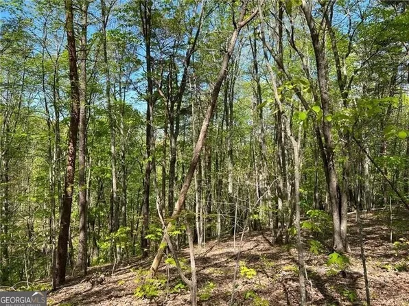 269 Appleberry Mountain Rd, Waleska, GA 30183