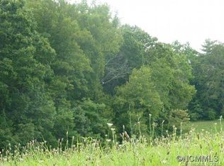 Tbd Turkey Branch Rd, Mars Hill, NC 28754