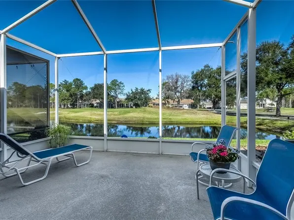 20931 Jaffa Ln, Land O Lakes, FL 34637