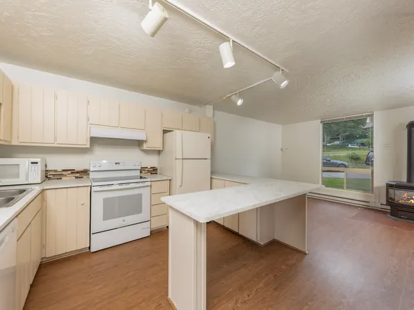490 Straight Creek Dr APT 503, Dillon, CO 80435