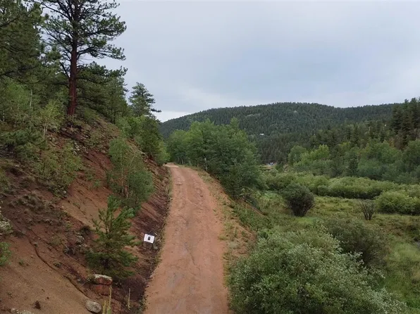 367 Neish Street, Bailey, CO 80421