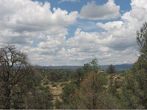 2nd image of 12525 W Cooper Morgan Trl