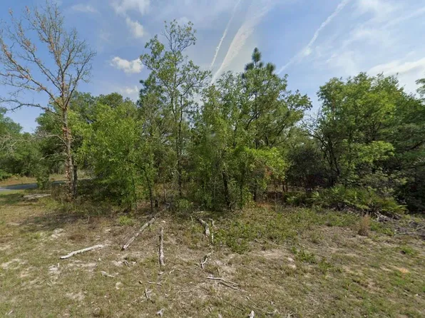 1389 W Pendleton St, Citrus Springs, FL 34434