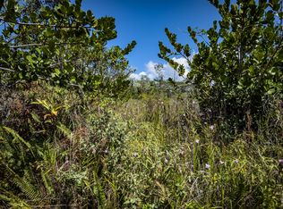 4th Ave LOT 2579, Keaau, HI 96749
