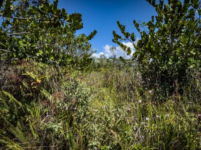 4th Ave Lot 2579, Keaau, HI, 96749