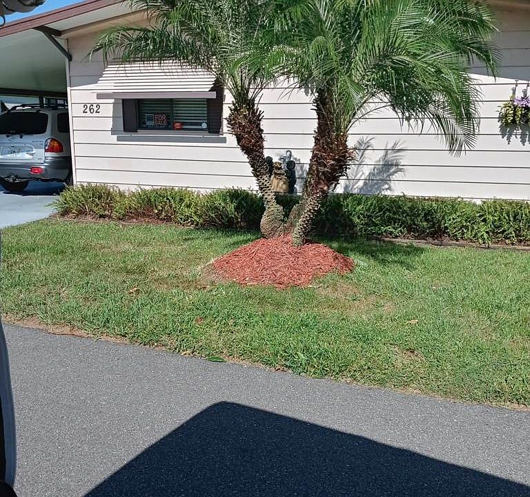 1st image of 262 Alpine Dr