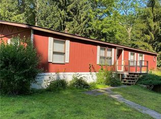 42 Wegman Rd, Livingston Manor, NY 12758