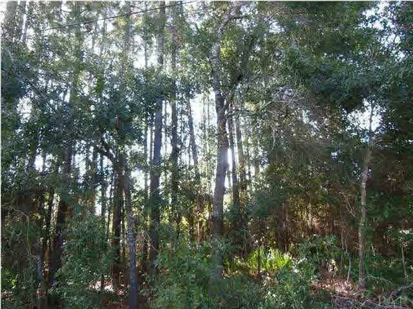 1000 Blk Gordon Ave, Perdido Key, FL 32507