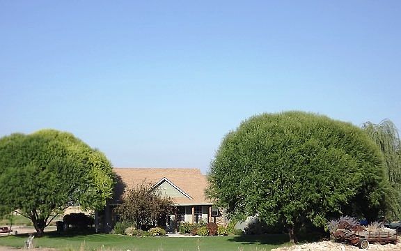 4th image of 7014 S Wright Ln