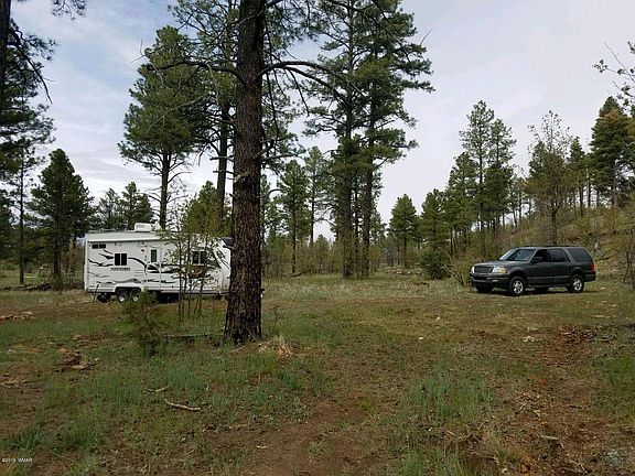 5th image of 872 Pine Meadow Ln