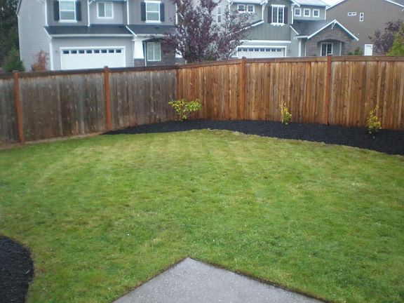 Fenced backyard