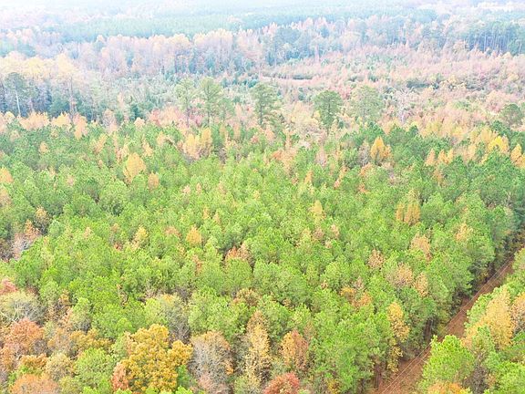 Powerline Running Through the West Side of the Property