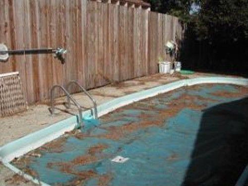 5th image of 541 Arnold Dr